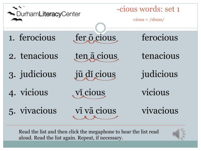 Cious words end judicious ferocious tenacious vicious