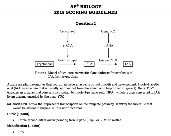 Ap biology 2013 frq answers