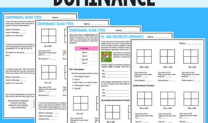 Incomplete and codominance worksheet answer