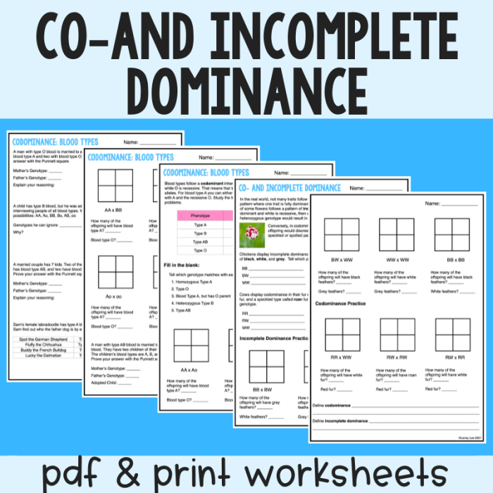 Incomplete and codominance worksheet answer