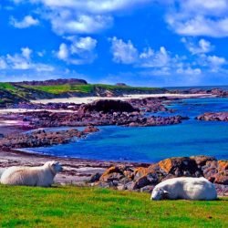 Irish sea gazing onto holliger isle iona john