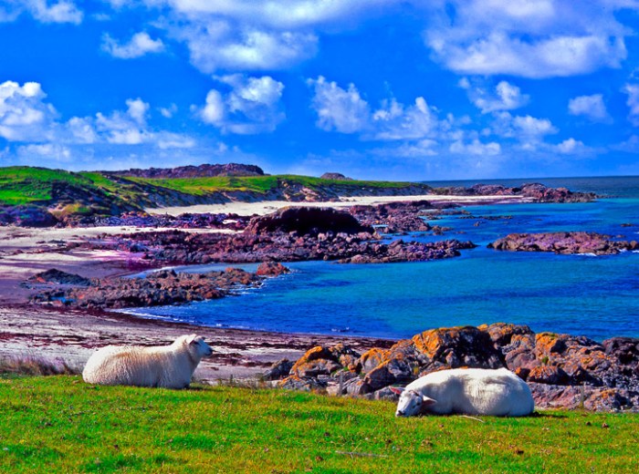 Irish sea gazing onto holliger isle iona john