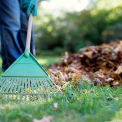 Ella earns money doing yard work