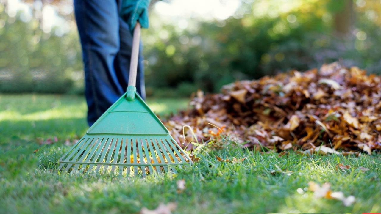 Ella earns money doing yard work