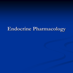 Endocrine system medication pharmacology