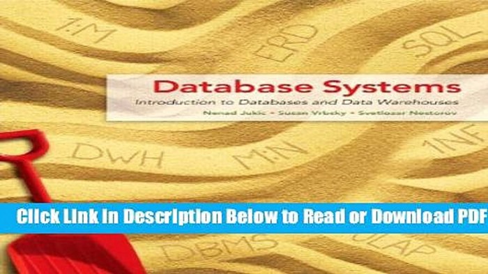 Database systems introduction to databases and data warehouses 2nd edition