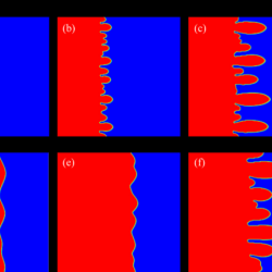 Pdms bits dendrite