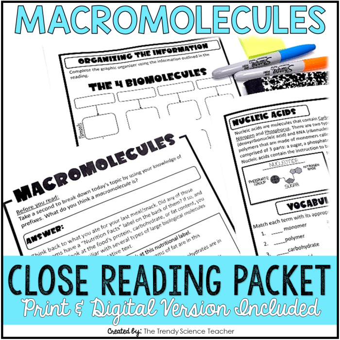 Macromolecules close reading assignment answer key