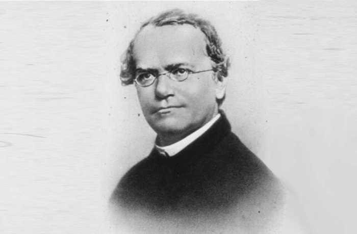 The work of gregor mendel sequence of events answer key