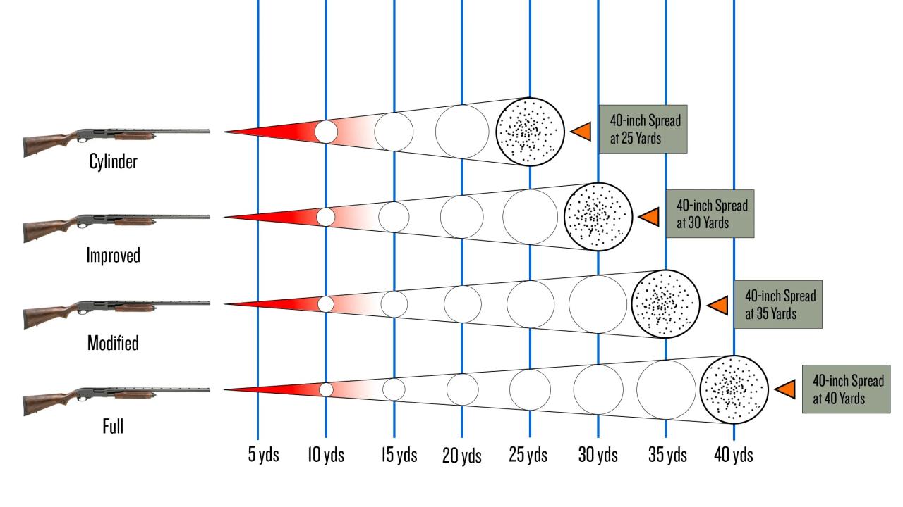 Which two shotgun chokes are best for hunting small birds